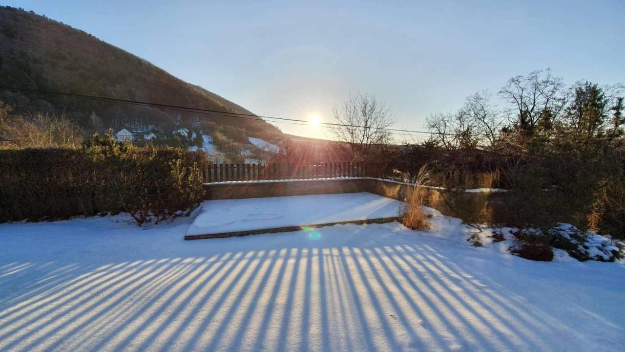Garden View Villa Drienica Exterior photo